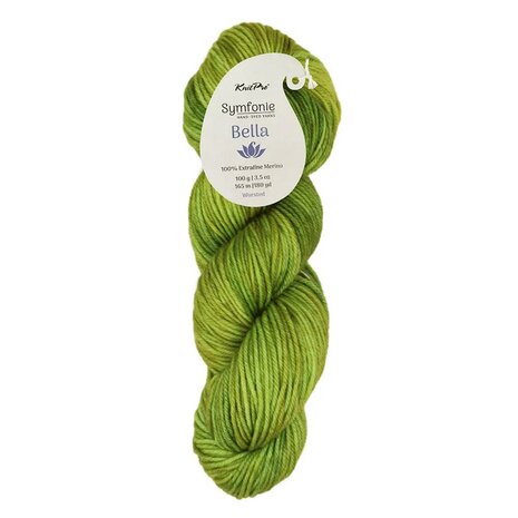 Symfonie Bella variegated 4027 Macha