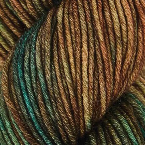 Symfonie Viva variegated 1013 Himalayas