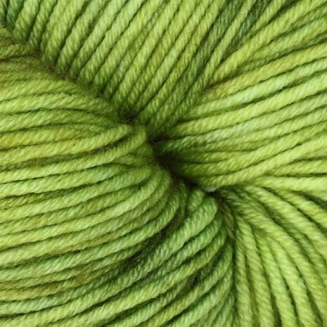 Symfonie Viva variegated 1032 Macha