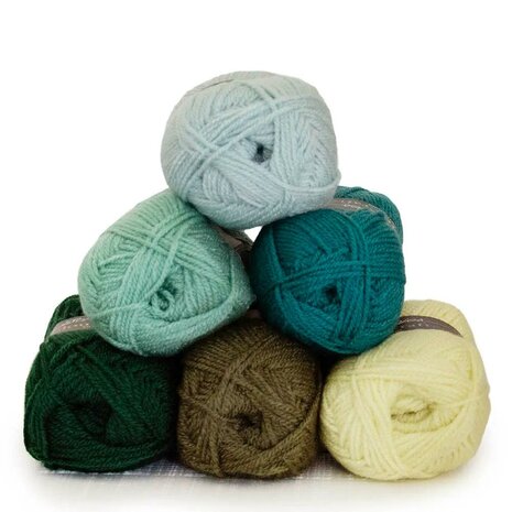 Scheepjes Colour Crafter colour pack 6x50g The Veluwe