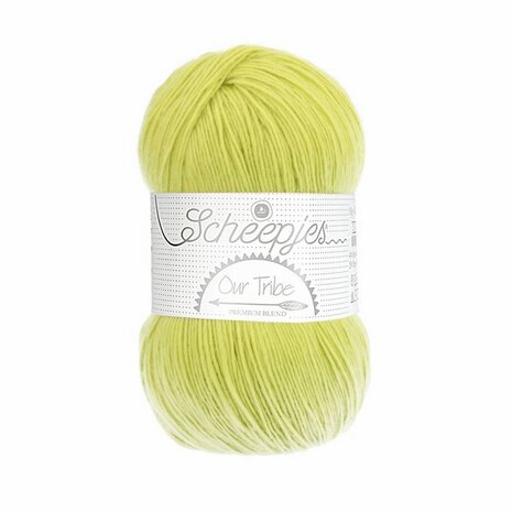 Our Tribe Pistachio Branch 878 Scheepjes
