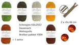 Scheepjes-KAL2022-Sassenach-Metropolis--compleet-Breibar--breipakket-1009