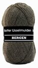 Botter-IJsselmuiden--Bergen-03-bruin