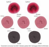 Charlotte’s Universe CAL 2021 Breibar pakket 204 van Scheepjes Whirl Ombré en Whirlette garenpakket Charlotte’s Universe CAL 2021 Breibar pakket 204 van Scheepjes Whirl Ombré en Whirlette garenpakket